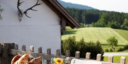 Hundehotel - Umgebungsschwerpunkt: Berg - Bernried (Landkreis Deggendorf) - Frühstück auf Sonnenterrasse - Wild-Berghof Buchet