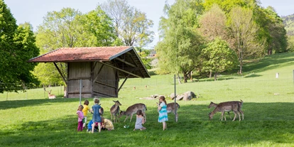 Hundehotel - Umgebungsschwerpunkt: Berg - Bernried (Landkreis Deggendorf) - Kinder am Wildgehege - Wild-Berghof Buchet