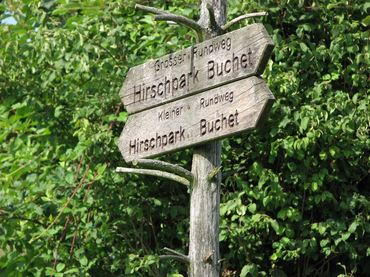 Wild-Berghof Buchet Ausflüge mit Hund Wildrundwanderweg