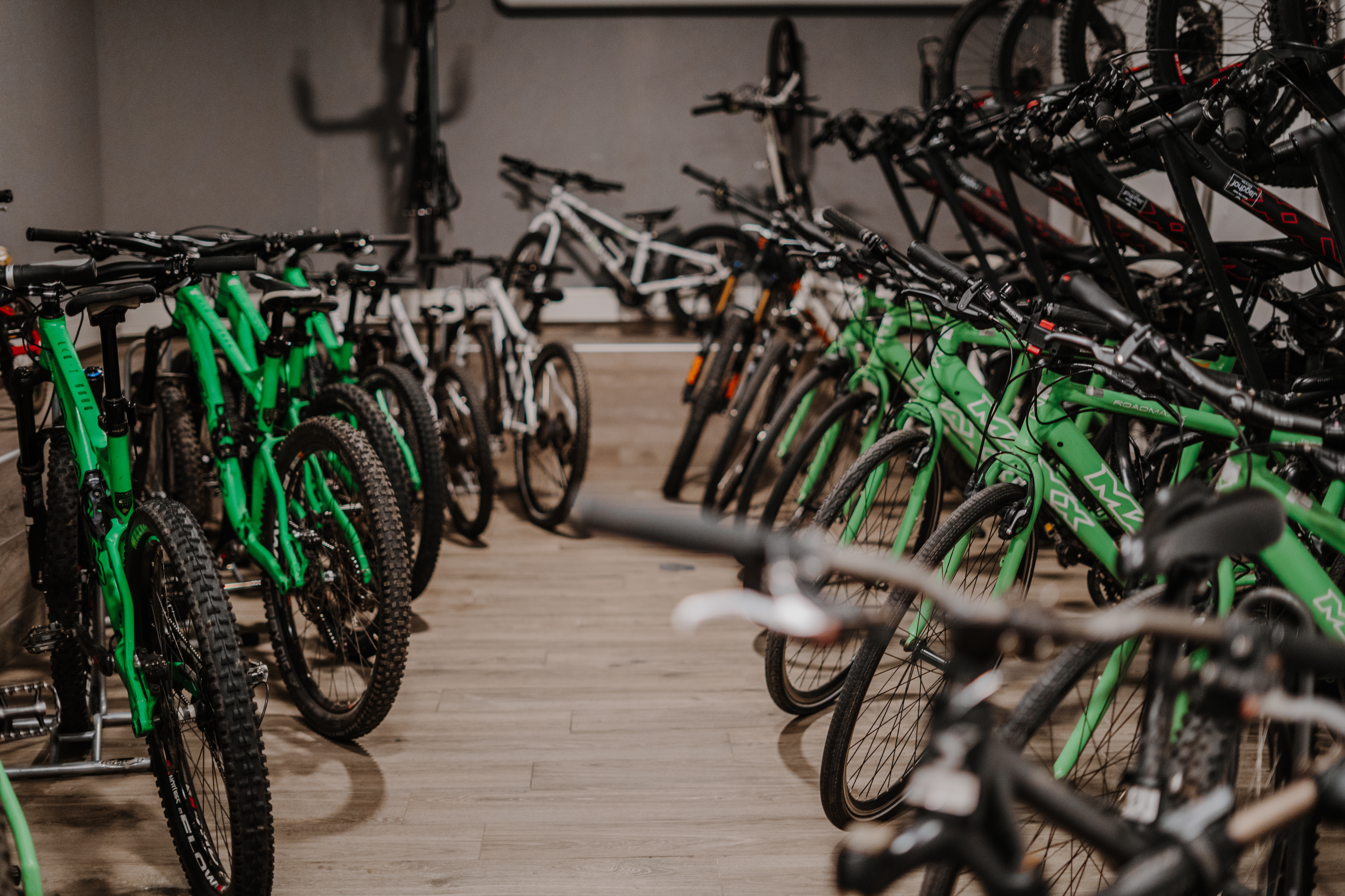 Urlaub-mit-Hund: Unser Bike-Fuhrpark - Piris Jagdhof - Dolce Vita Experience