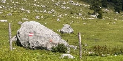 Hundehotel - Tauplitz - Wanderung Schüttalm - Aparthotel Uncle Jack´s