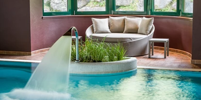 Hundehotel - Pools: Schwimmteich - Hotel Elisabeth Kirchberg