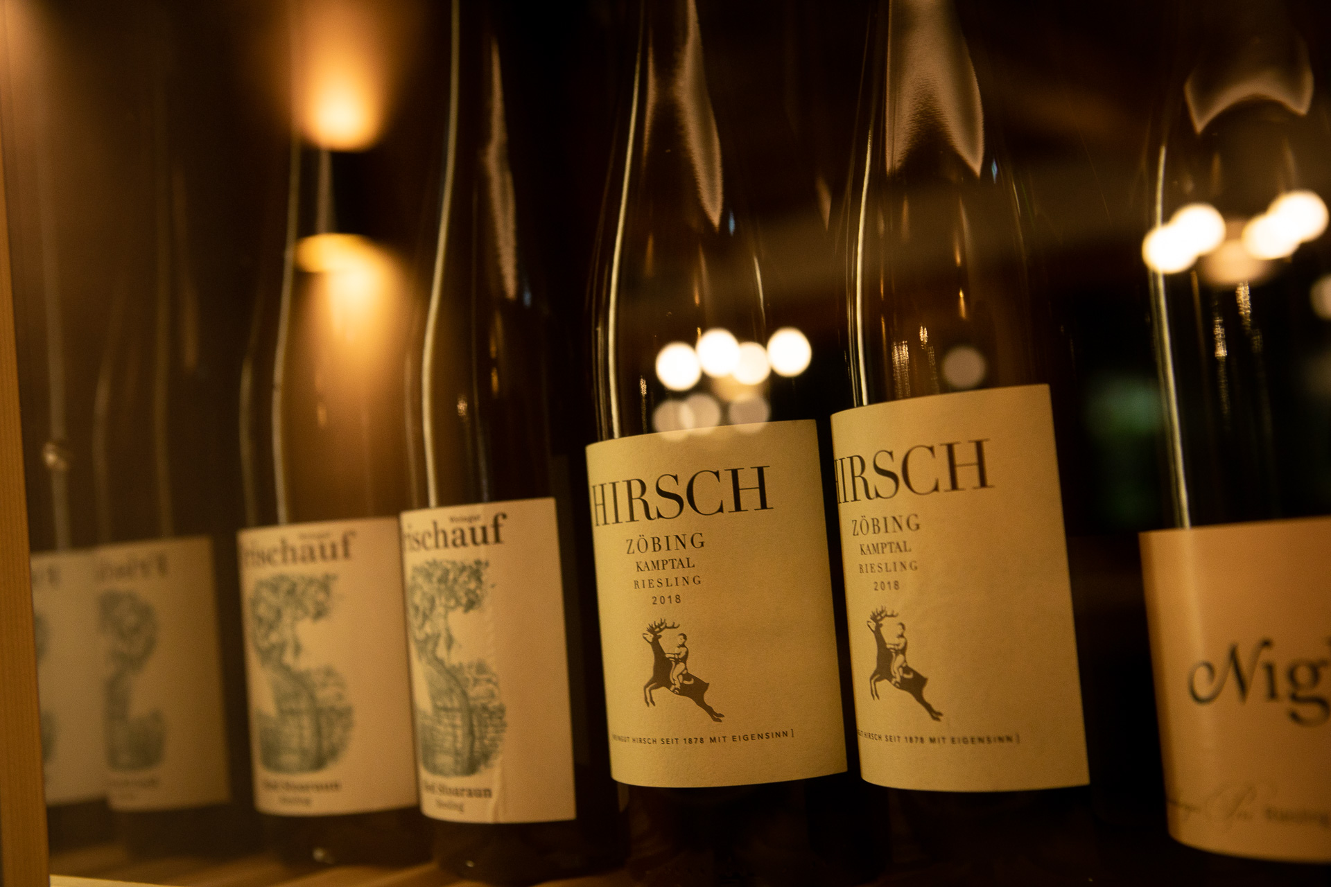 Urlaub-mit-Hund: Hotel Elisabeth Kirchberg