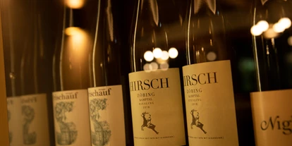 Hundehotel - Pools: Schwimmteich - Hotel Elisabeth Kirchberg