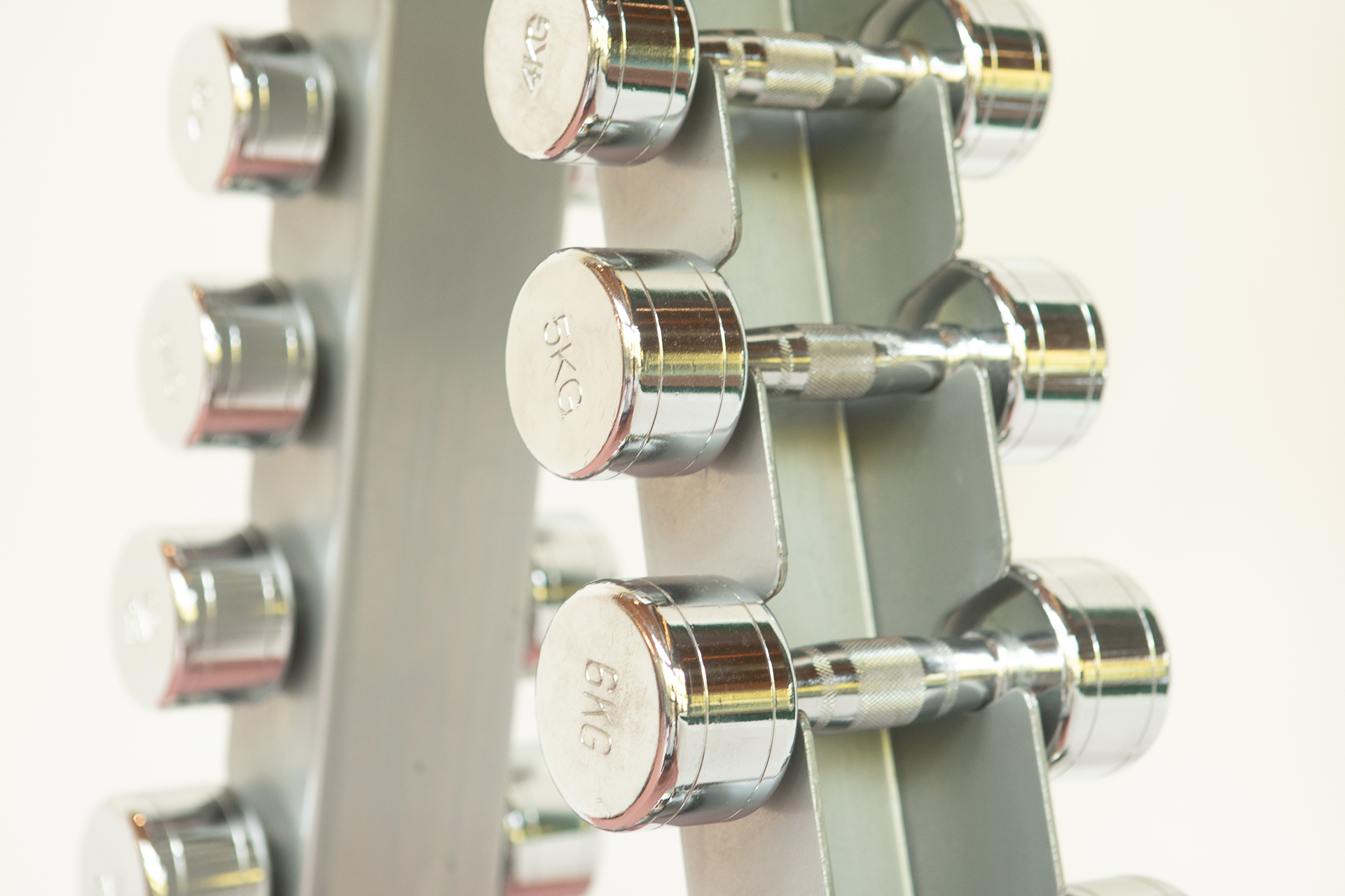 Urlaub-mit-Hund: Hotel Elisabeth Kirchberg