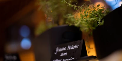 Hundehotel - Pools: Schwimmteich - Hotel Elisabeth Kirchberg
