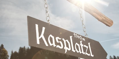 Hundehotel - Pools: Schwimmteich - Hotel Elisabeth Kirchberg