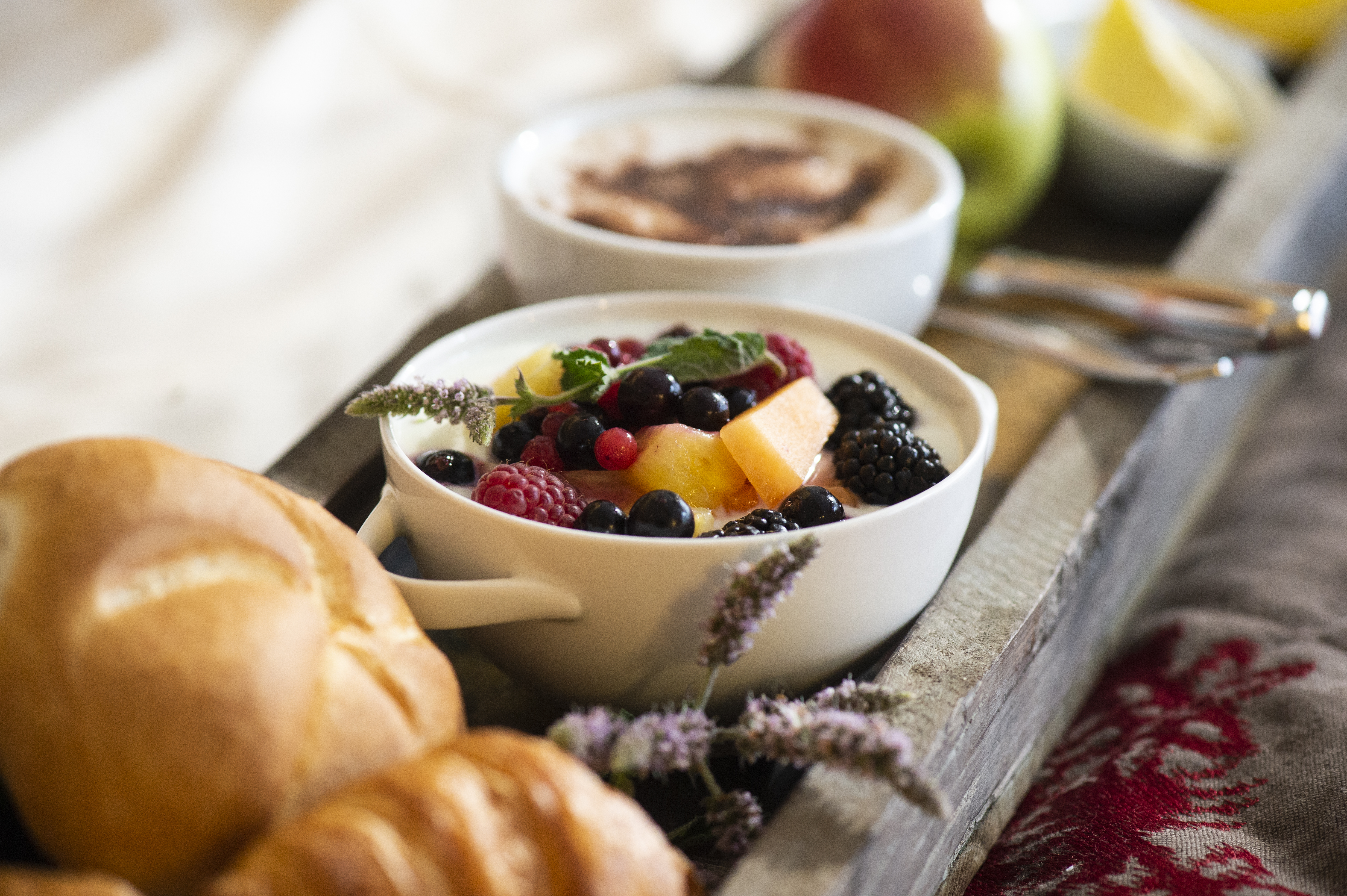 Urlaub-mit-Hund: Hotel Elisabeth Kirchberg