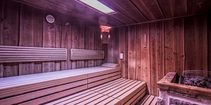 Hundehotel - Pools: Schwimmteich - Hotel Elisabeth Kirchberg