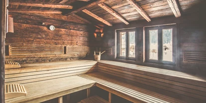 Hundehotel - Pools: Schwimmteich - Hotel Elisabeth Kirchberg