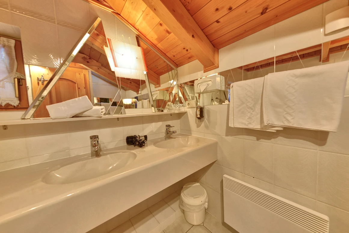 Ferienhaus mit Hund: Badezimmer 1 - Glocknerhaus Naturdomizil