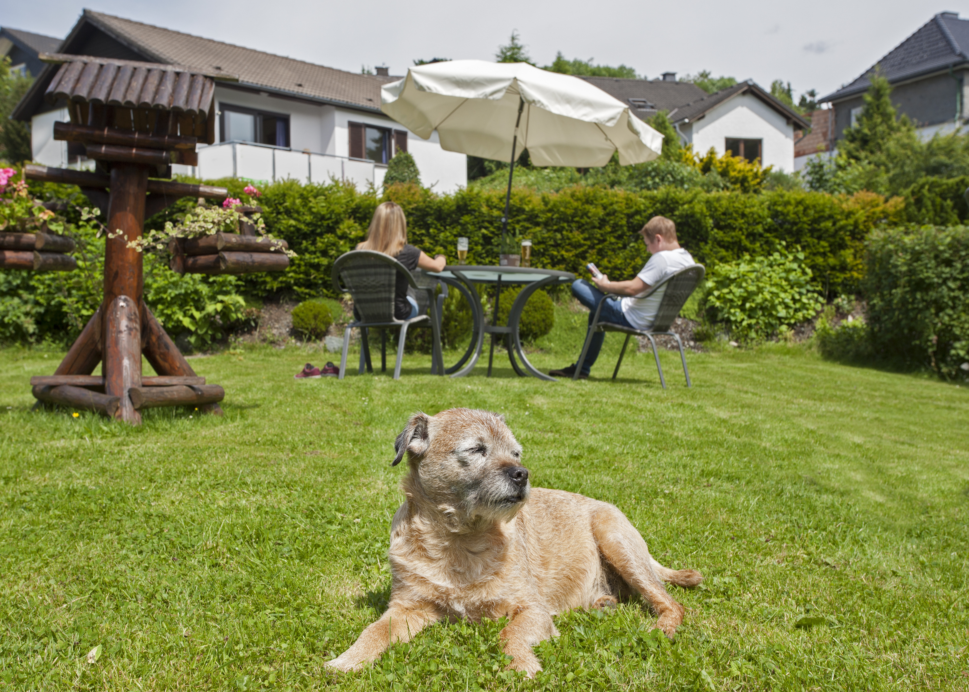 Hundehotel - Hund im Restaurant erlaubt - Nordrhein-Westfalen - Hotel Forsthaus