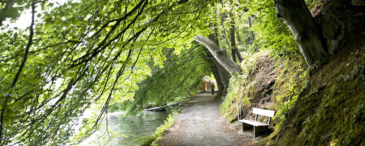 Belvédère Strandhotel Spiez Ausflüge mit Hund Strandweg – am idyllischen Uferweg