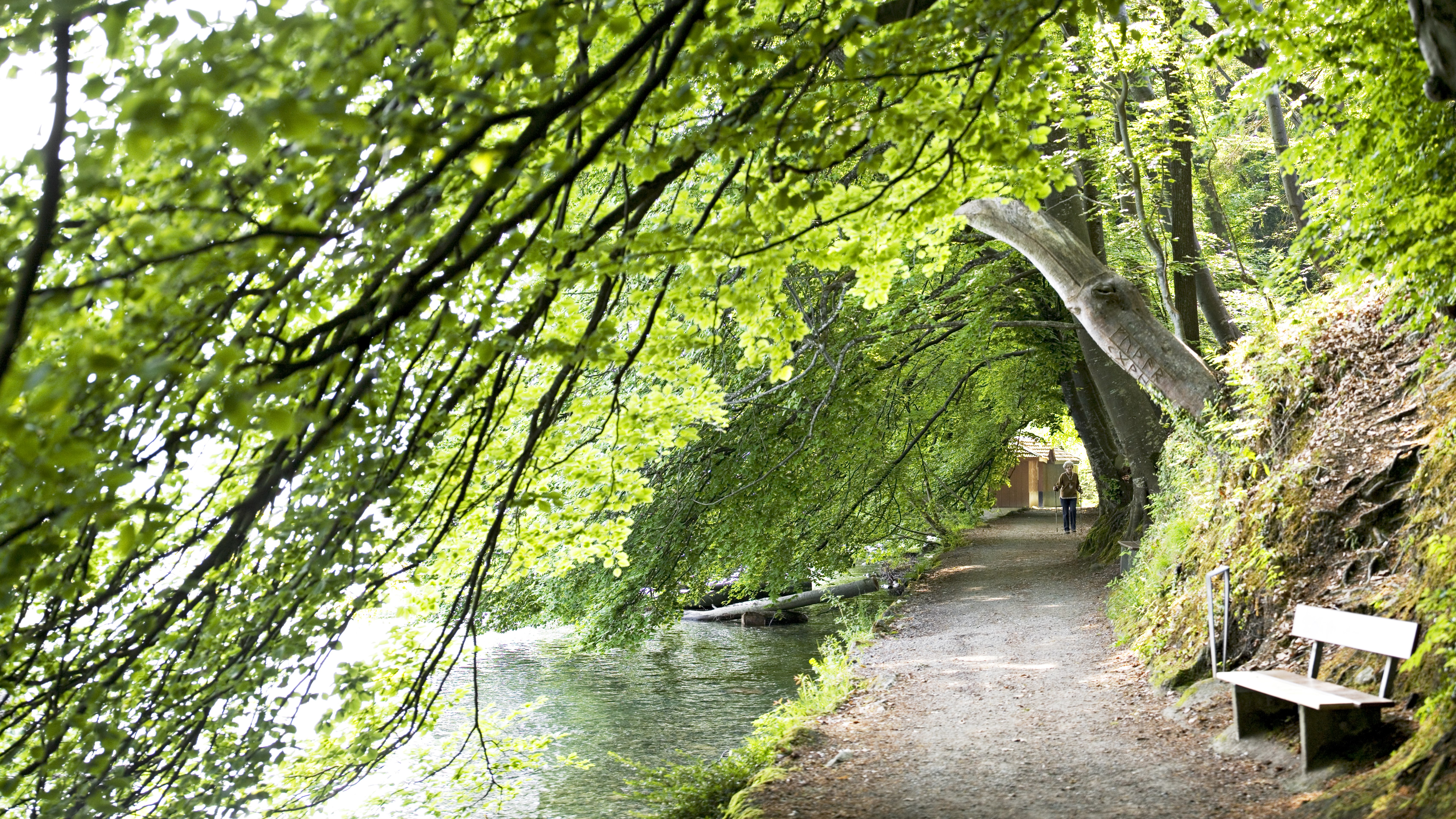 Urlaub-mit-Hund: Spiez Strandweg - Belvédère Strandhotel Spiez - Urlaub mit Hund