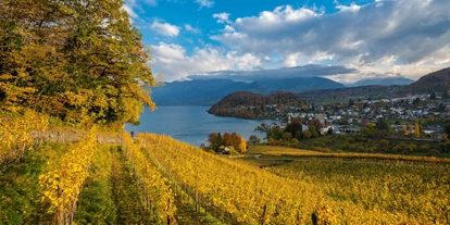 Hundehotel - WLAN - Saanenmöser - Spiez Weinreben - Belvédère Strandhotel Spiez