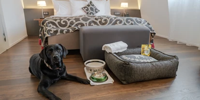 Hundehotel - WLAN - Saanenmöser - Hund im Hotelzimmer neben Hundebett und Napf - Belvédère Strandhotel Spiez