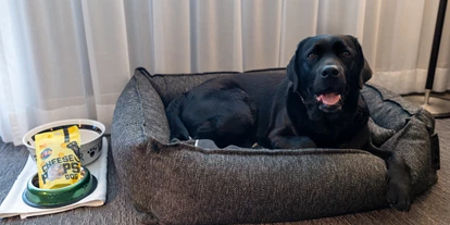 Hundehotel - WLAN - Saanenmöser - Hund im Hundebett - Belvédère Strandhotel Spiez