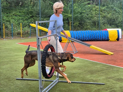 Hundehotel - Sauna - Grömitz - Unser eigener Agility Parcour - Immenhagen Ferienwohnungen