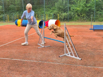 Hundehotel - Sauna - Grömitz - Jack im Sprung auf unserem Agility Parcours - Immenhagen Ferienwohnungen