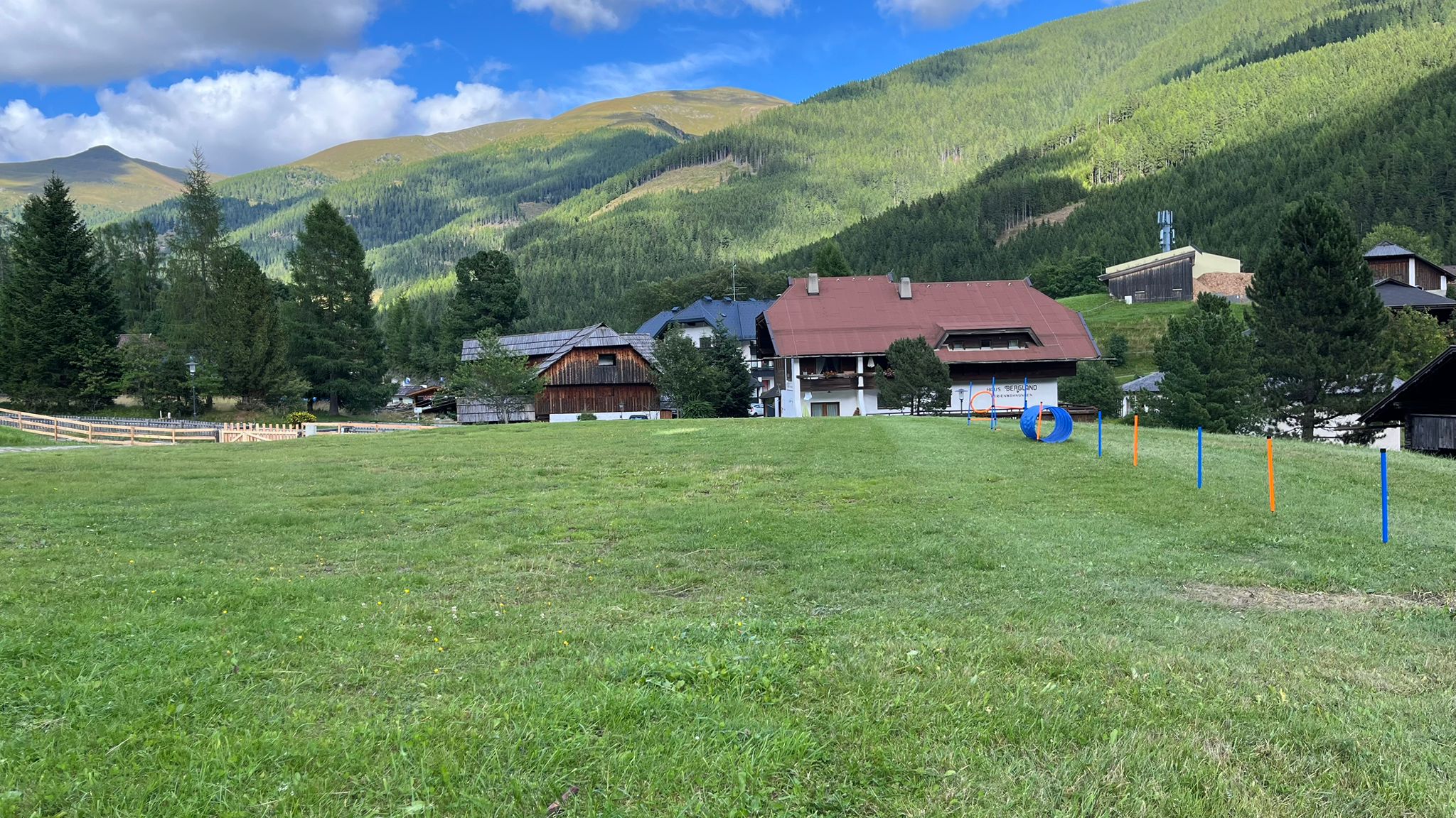 Hundehotel - Kärnten - 3.000m2 Freilaufwiese Hunde - Hotel Garni Berghof