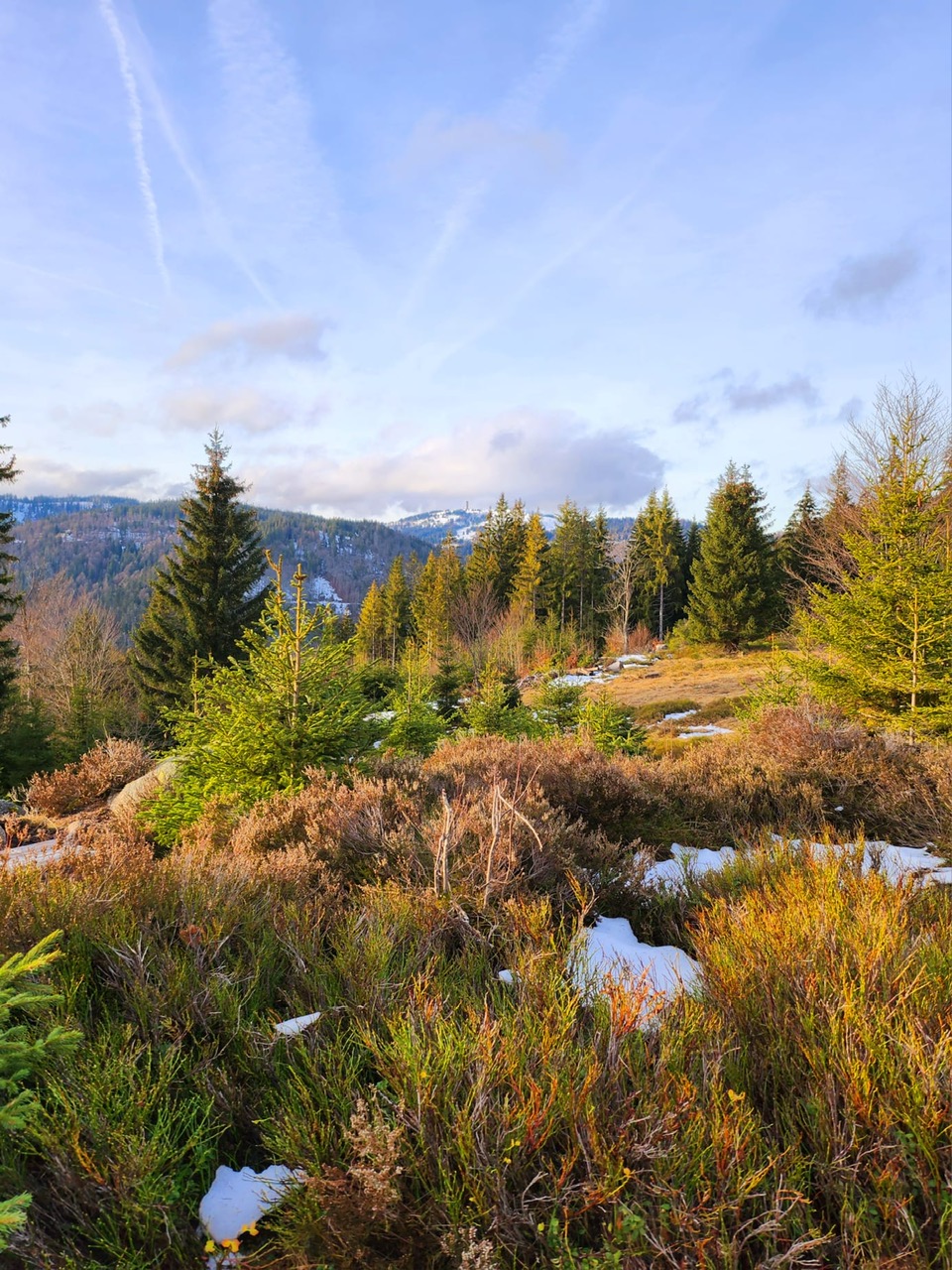 Urlaub-mit-Hund: Unsere Wanderwege - Hotel Hirschen  - Haus | Umgebung