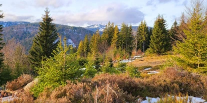 Hundehotel - Verpflegung: Halbpension - Baden-Württemberg - Unsere Wanderwege - Hotel Hirschen