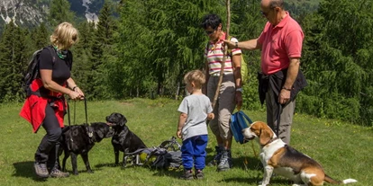 Hundehotel - Pools: Schwimmteich - Wildkräuterhotel Steinschalerhof