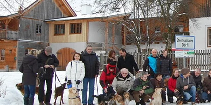 Hundehotel - Pools: Schwimmteich - Wildkräuterhotel Steinschalerhof