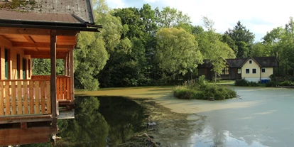 Hundehotel - Pools: Schwimmteich - Wildkräuterhotel Steinschalerhof