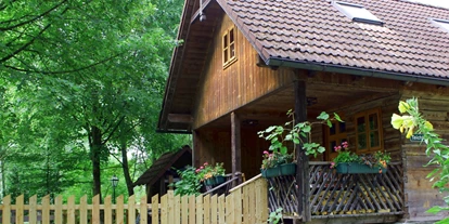 Hundehotel - Pools: Schwimmteich - Wildkräuterhotel Steinschalerhof