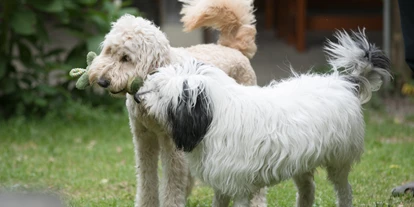 Hundehotel - Pools: Schwimmteich - Wildkräuterhotel Steinschalerhof