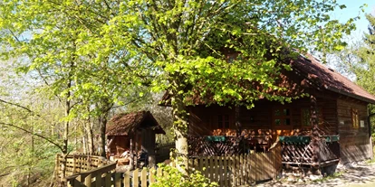 Hundehotel - Pools: Schwimmteich - Wildkräuterhotel Steinschalerhof