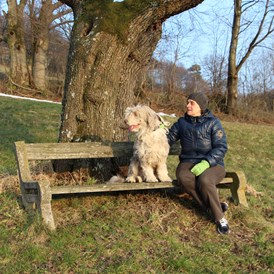 Urlaub-mit-Hund: Erholungsbankerl auf der Himmlischen Runde (Rundweg ca. 8km  - geht vom Hotel weg) - Wildkräuterhotel Steinschalerhof