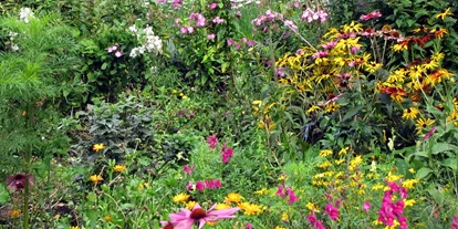 Hundehotel - Pools: Schwimmteich - Steischaler Naturgarten:
Wunderschön zum Spazieren auch mit Hund 
Im Garten gibt es am Bach einen gemütlichen  Hunde - Badeplatz   - Wildkräuterhotel Steinschalerhof
