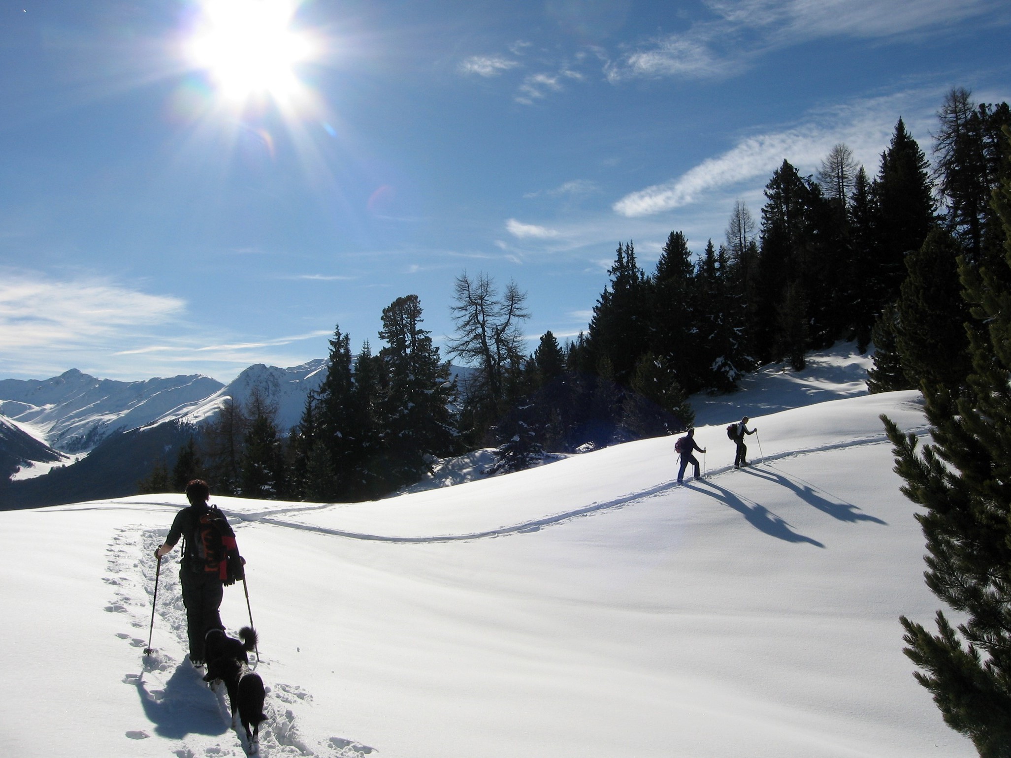 Ferienhaus mit Hund: Schneeschuhwanderungen (Schneeschuhe im Haus vorhanden) - Abseits