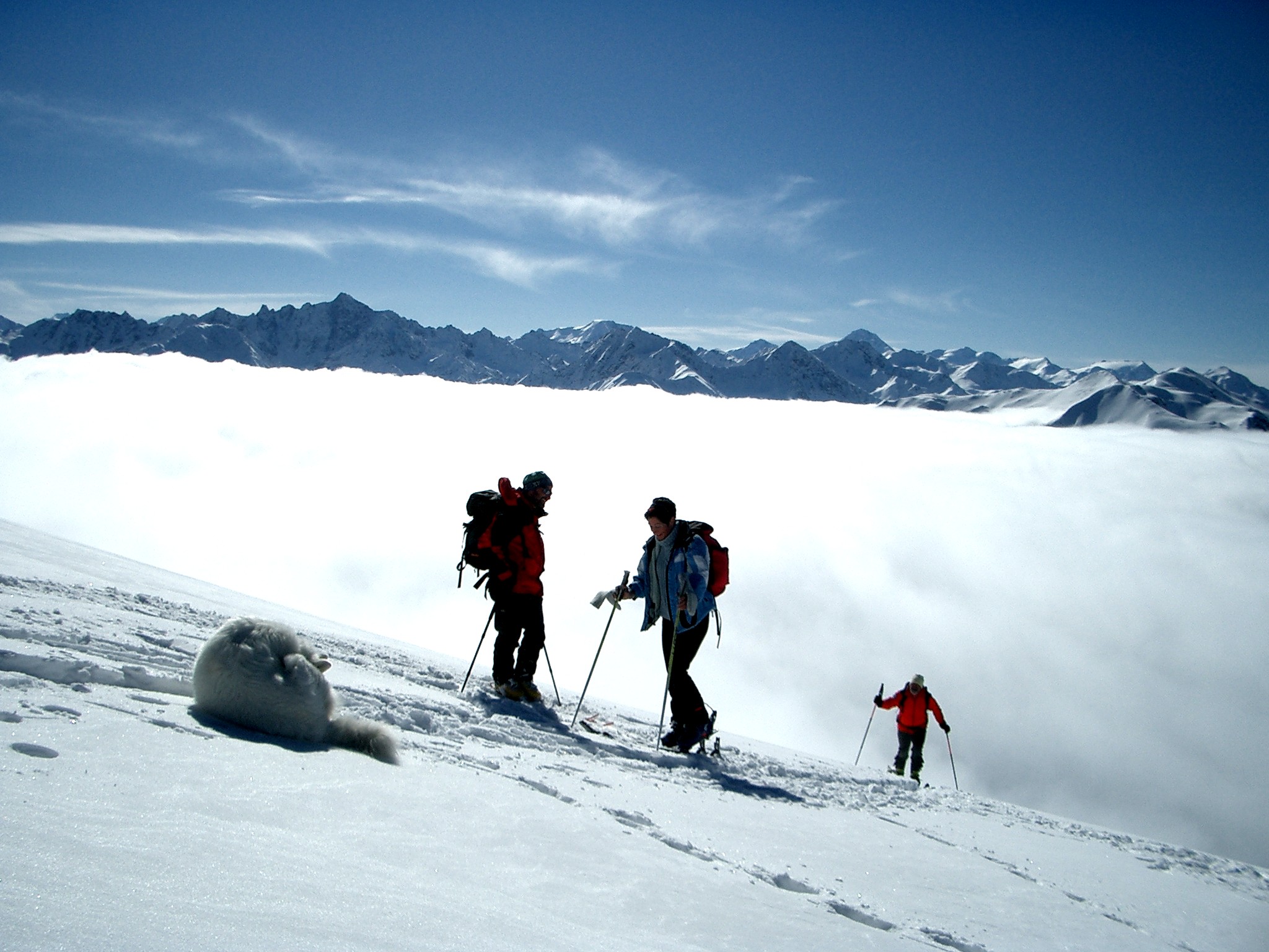 Ferienhaus mit Hund: Skitouren mit Hund, ein Traum - Abseits
