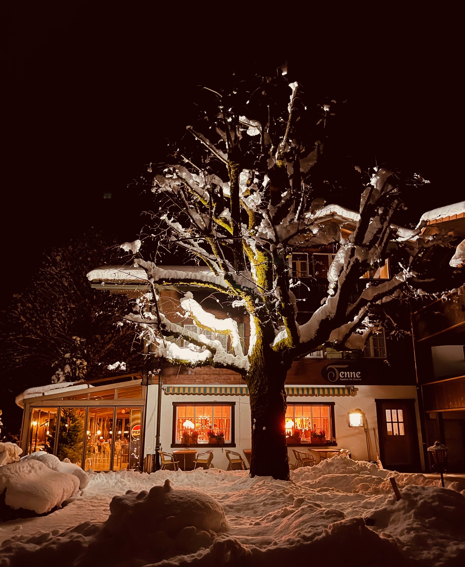 Hundehotel - Verpflegung: Frühstück - Grindelwald - Aussenansicht Winter - Gasthof Tenne