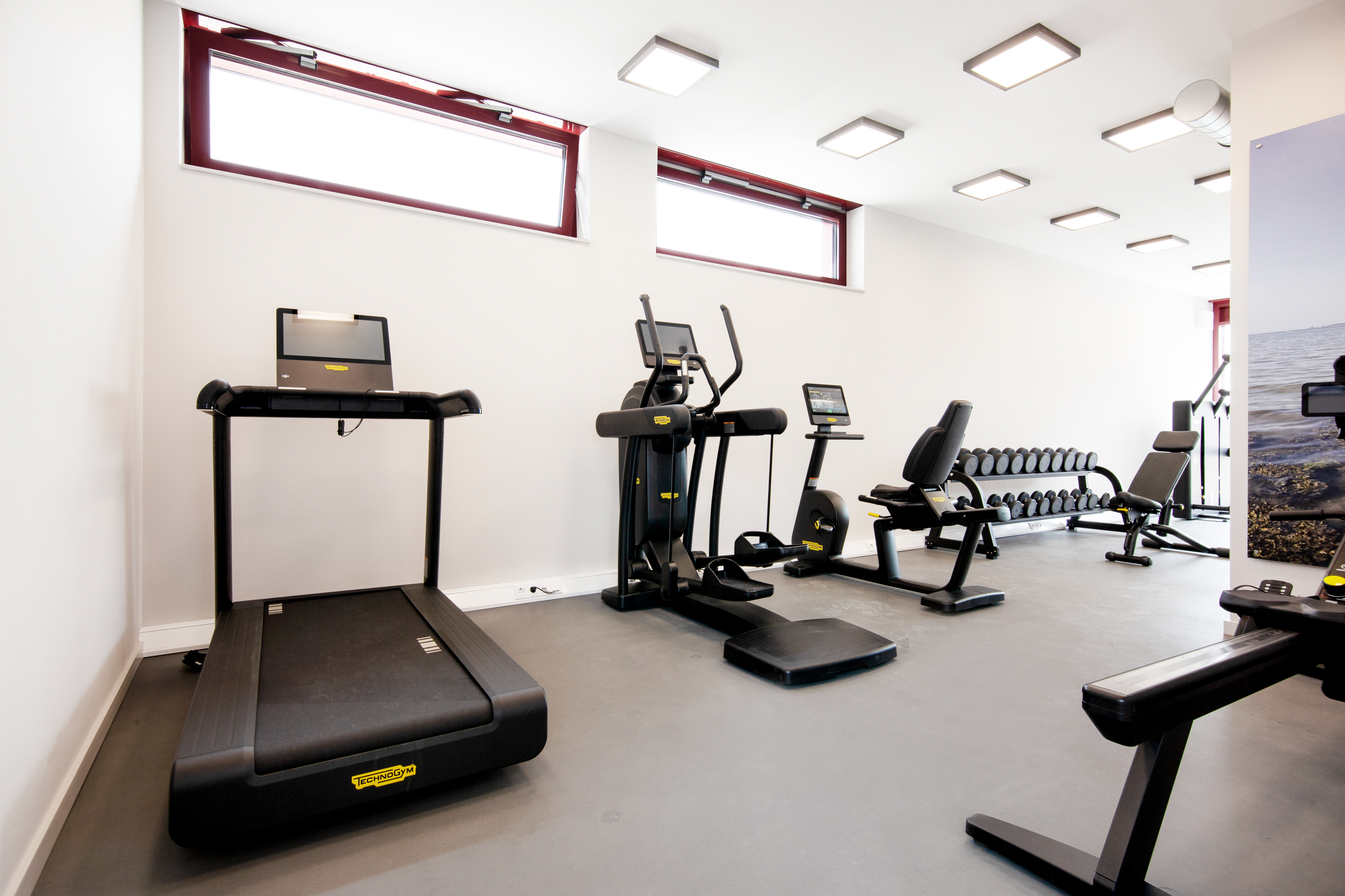 Ferienhaus mit Hund: Unser moderner Fitnessraum im Wellnesshaus bietet ideale Trainingsmöglichkeiten – ruhig gelegen und ausgestattet mit hochwertigen Geräten für Cardio- und Krafttraining. - Bades Huk