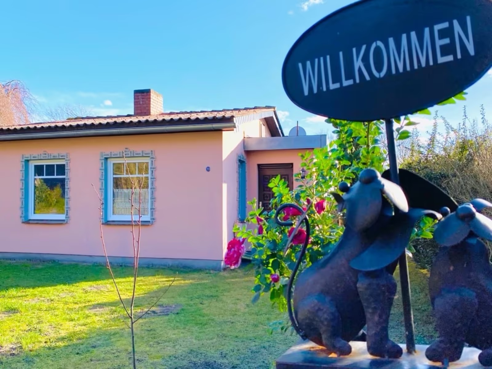 Hundehotel - TV - Ferienhaus Ostseehund - Ferienhaus Ostseehund