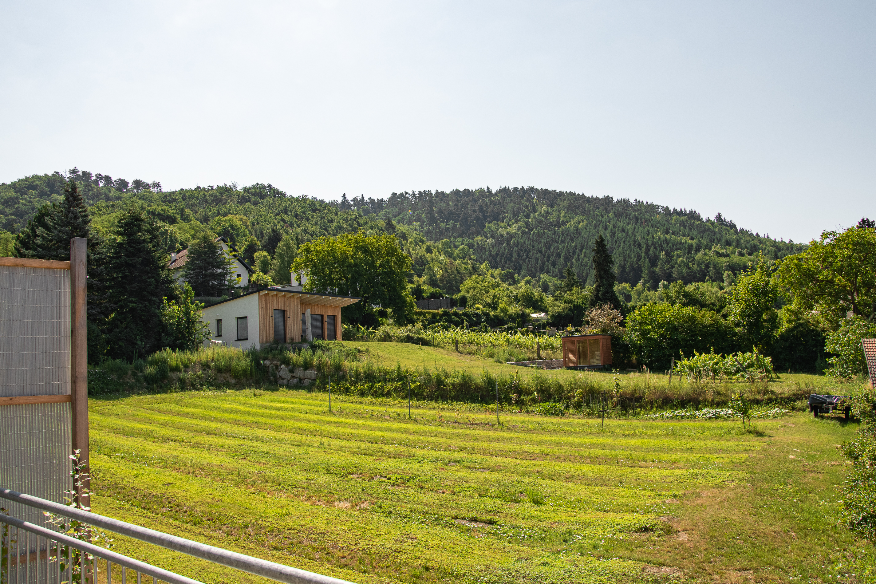 Hundehotel - Trink-/Fressnapf: im Zimmer - Watzelsdorf (Zellerndorf) - Hotel zur Schonenburg