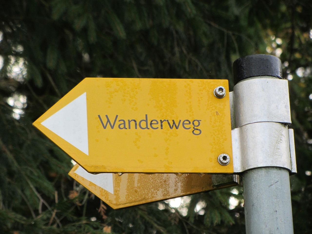 Urlaub-mit-Hund: Wanderschild - Hotel Bergsonne Allgäu - Haus | Umgebung