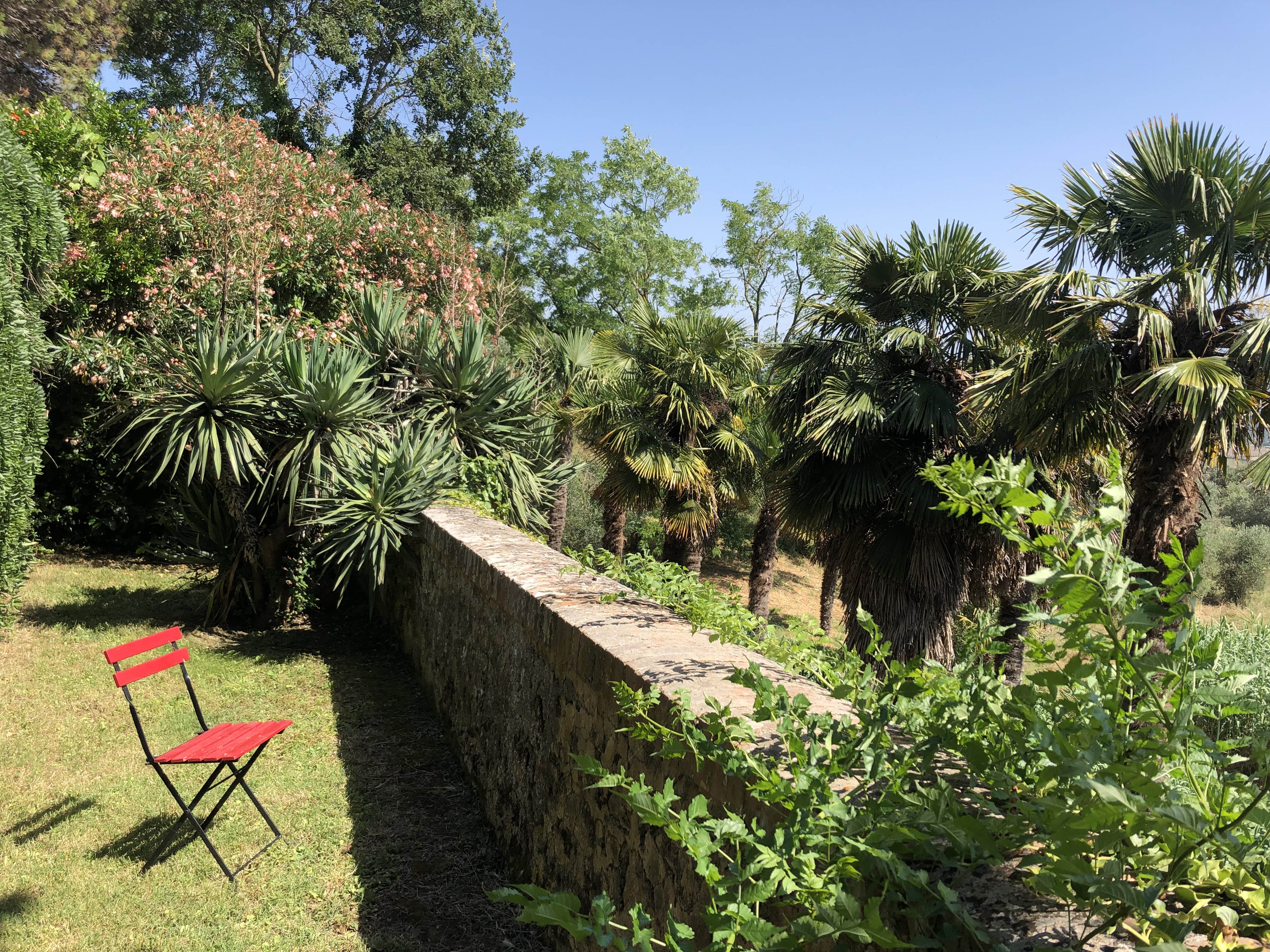Urlaub-mit-Hund: Der Untere Garten ist direkt vor dem Appartement - Le Guadalupe by Luigi - Haus | Umgebung