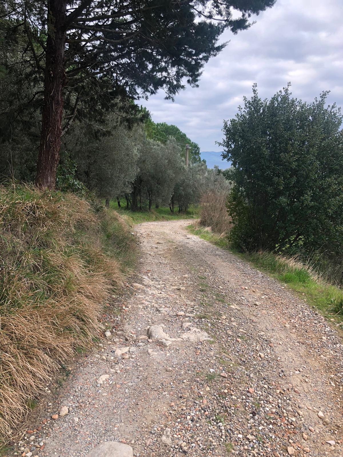 Urlaub-mit-Hund: Unsere Zufahrt für "unerschrockene" FahrerInnen - Le Guadalupe by Luigi