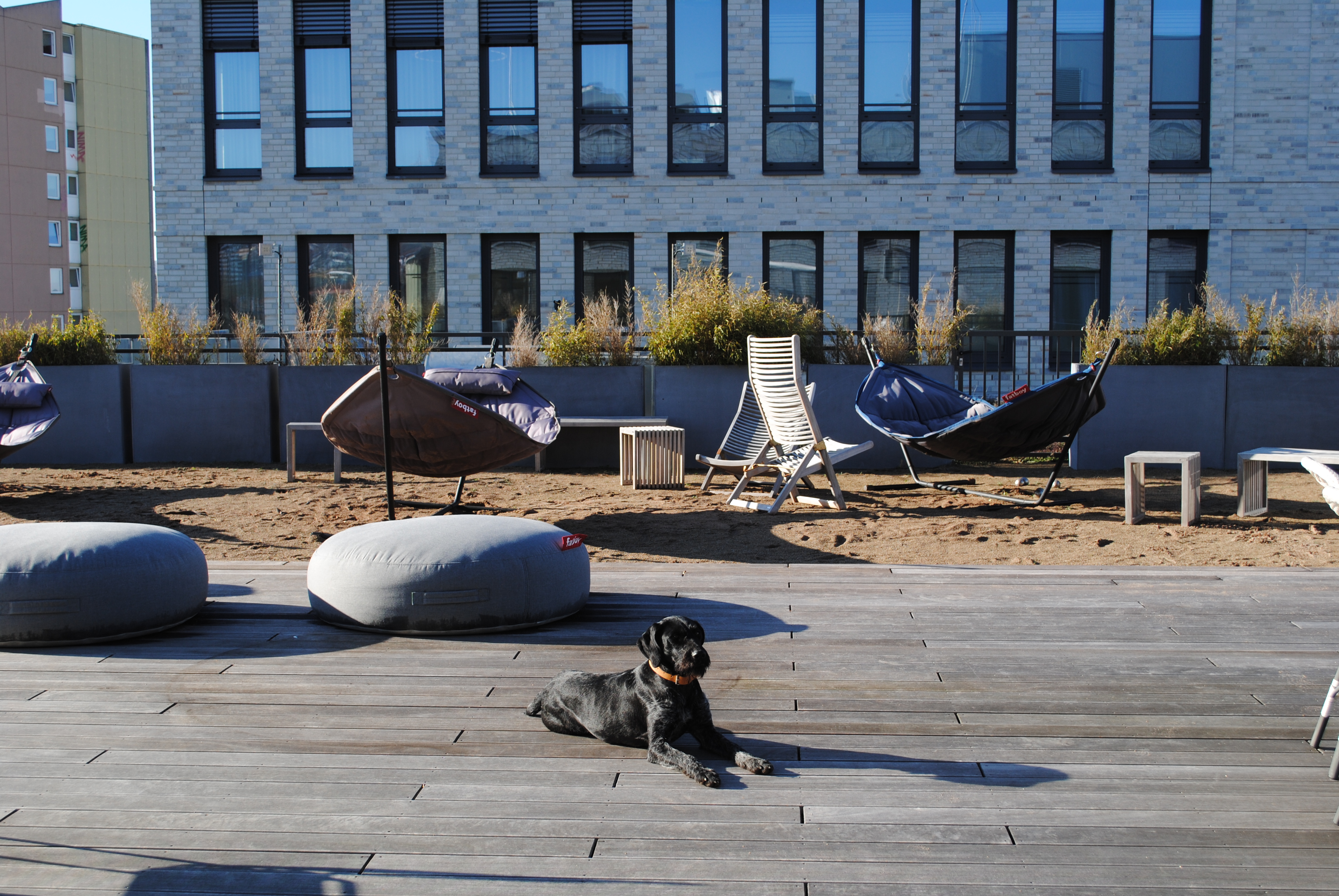 Urlaub-mit-Hund: FREIgeist Göttingen Innenstadt