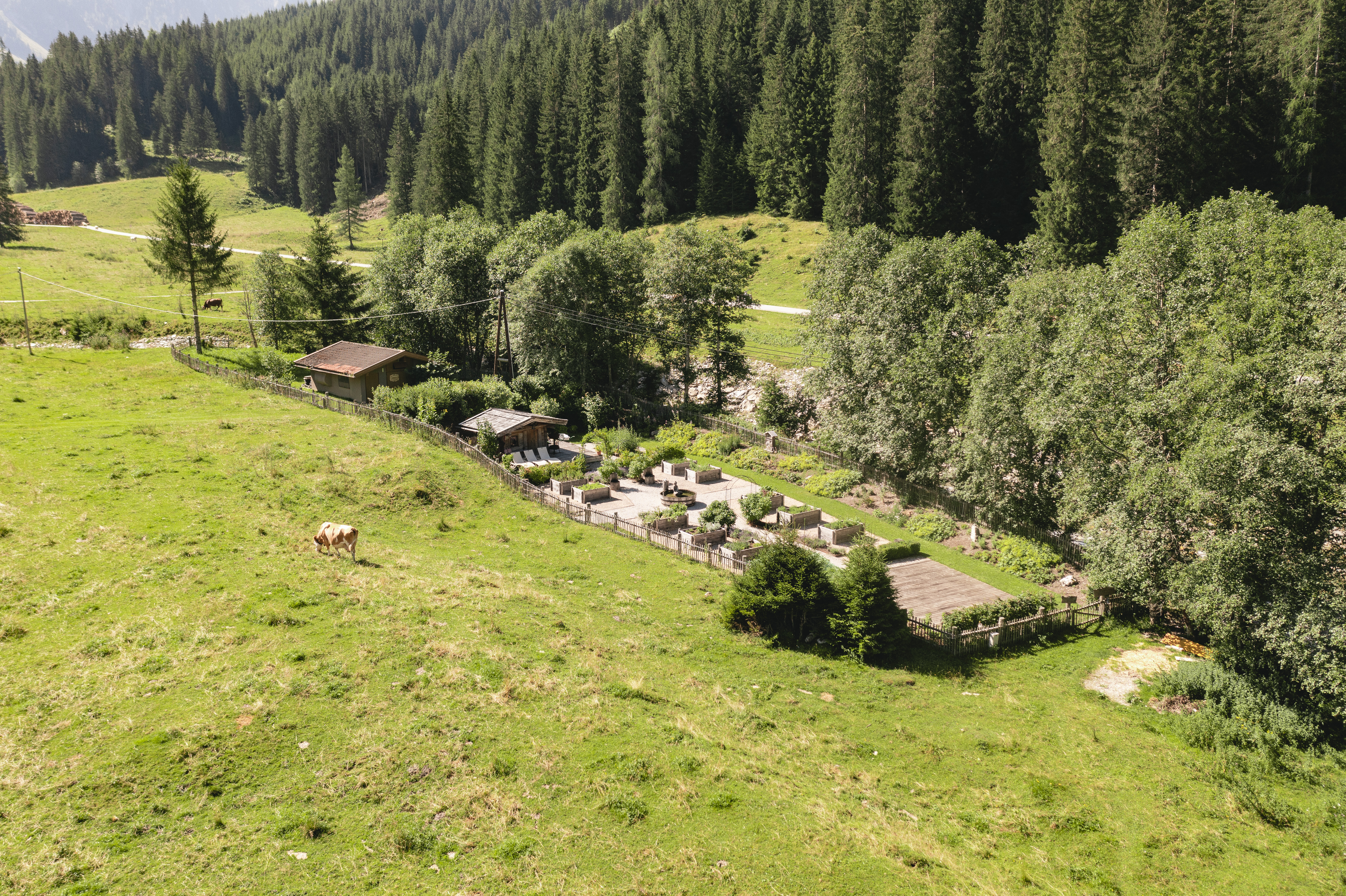 Urlaub-mit-Hund: Kräutergarten - Traumhotel Alpina 4 Sterne Superior Luxushotel