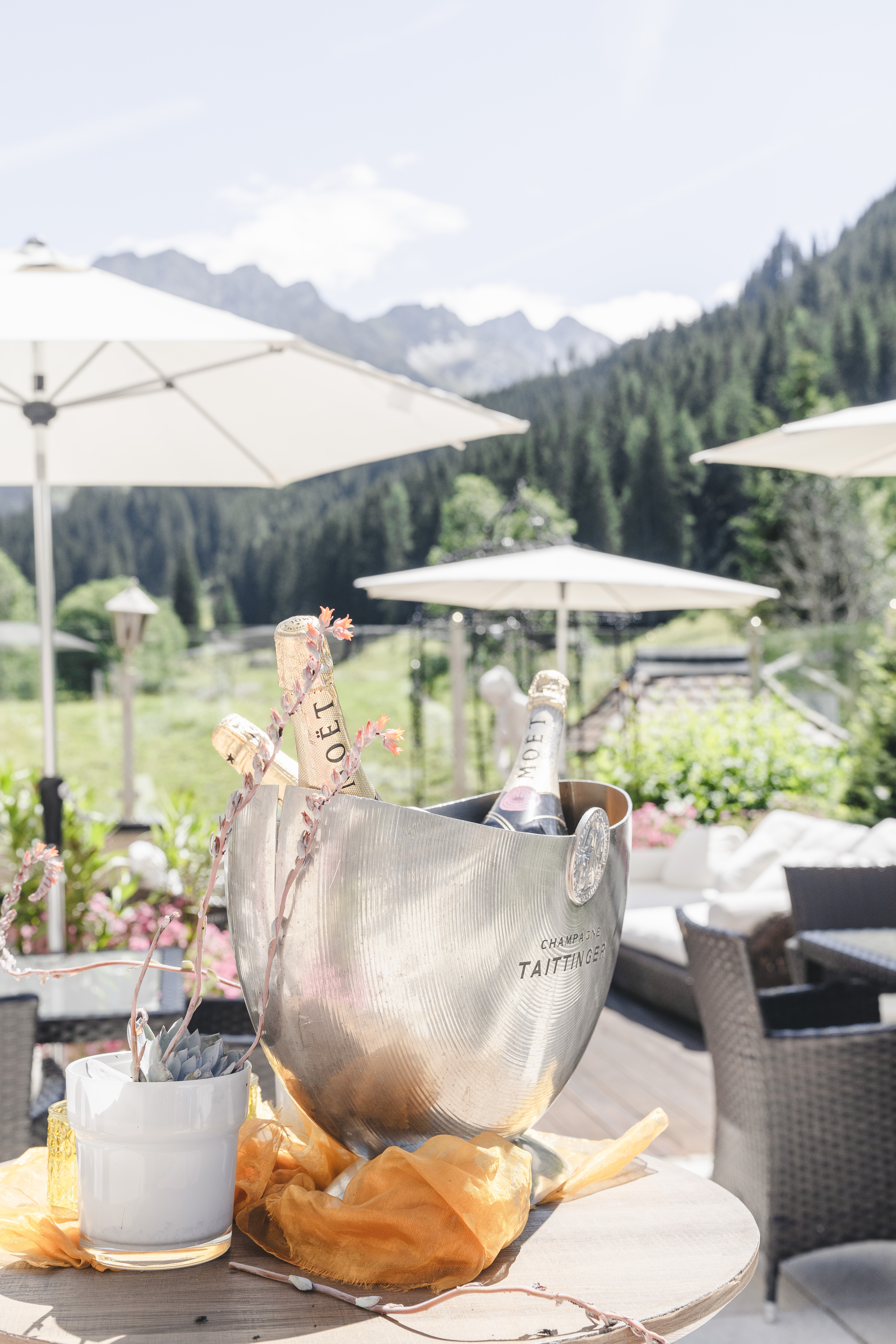 Urlaub-mit-Hund: Terrasse - Traumhotel Alpina 4 Sterne Superior Luxushotel