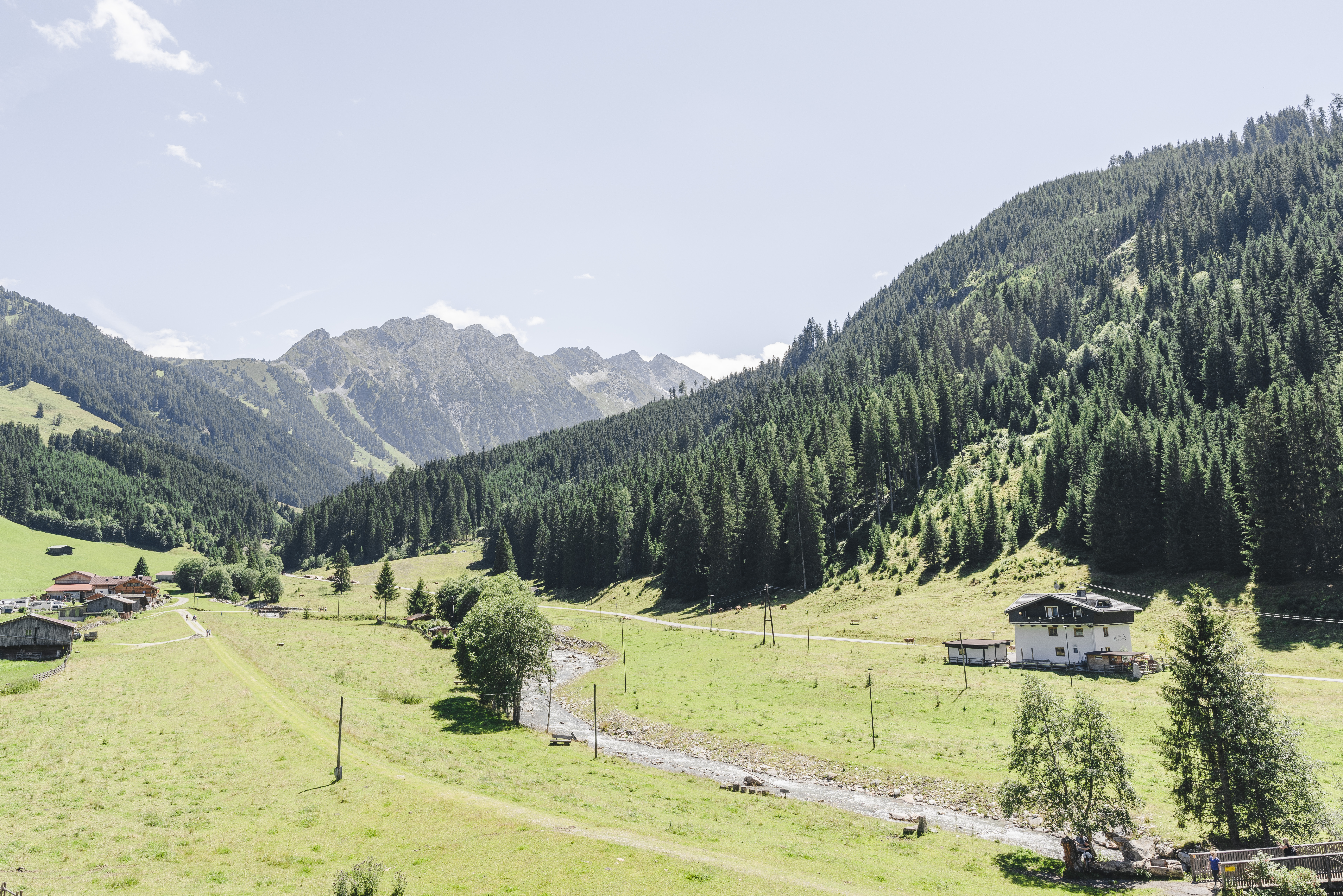 Urlaub-mit-Hund: Spaziergang SCHÖNACHTAL - Traumhotel Alpina 4 Sterne Superior Luxushotel