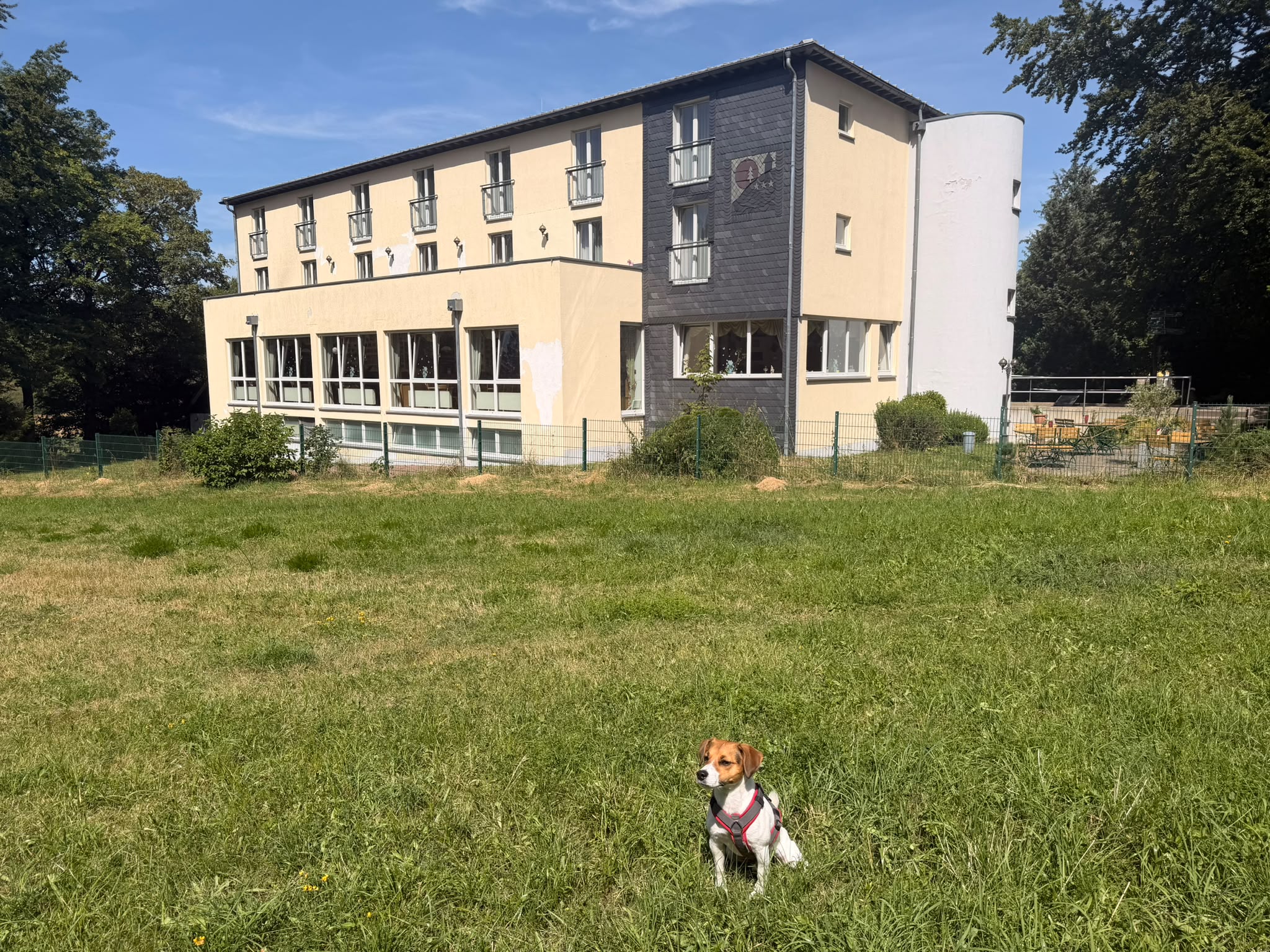 Urlaub-mit-Hund: Herzlich Willkommen im Hotel Haus Oberland  - Haus Oberland - Urlaub mit Hund