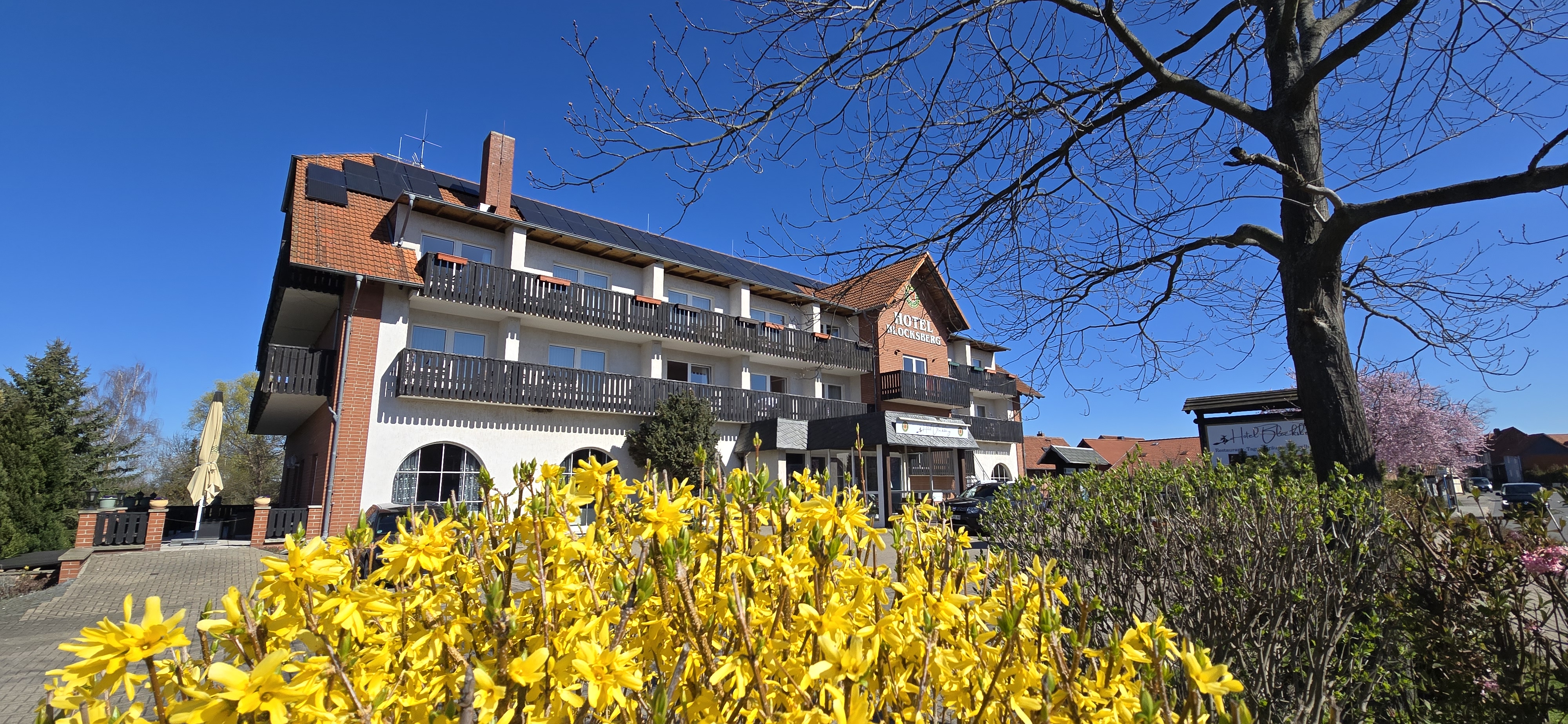 Hundehotel - Braunlage - Hotel Blocksberg