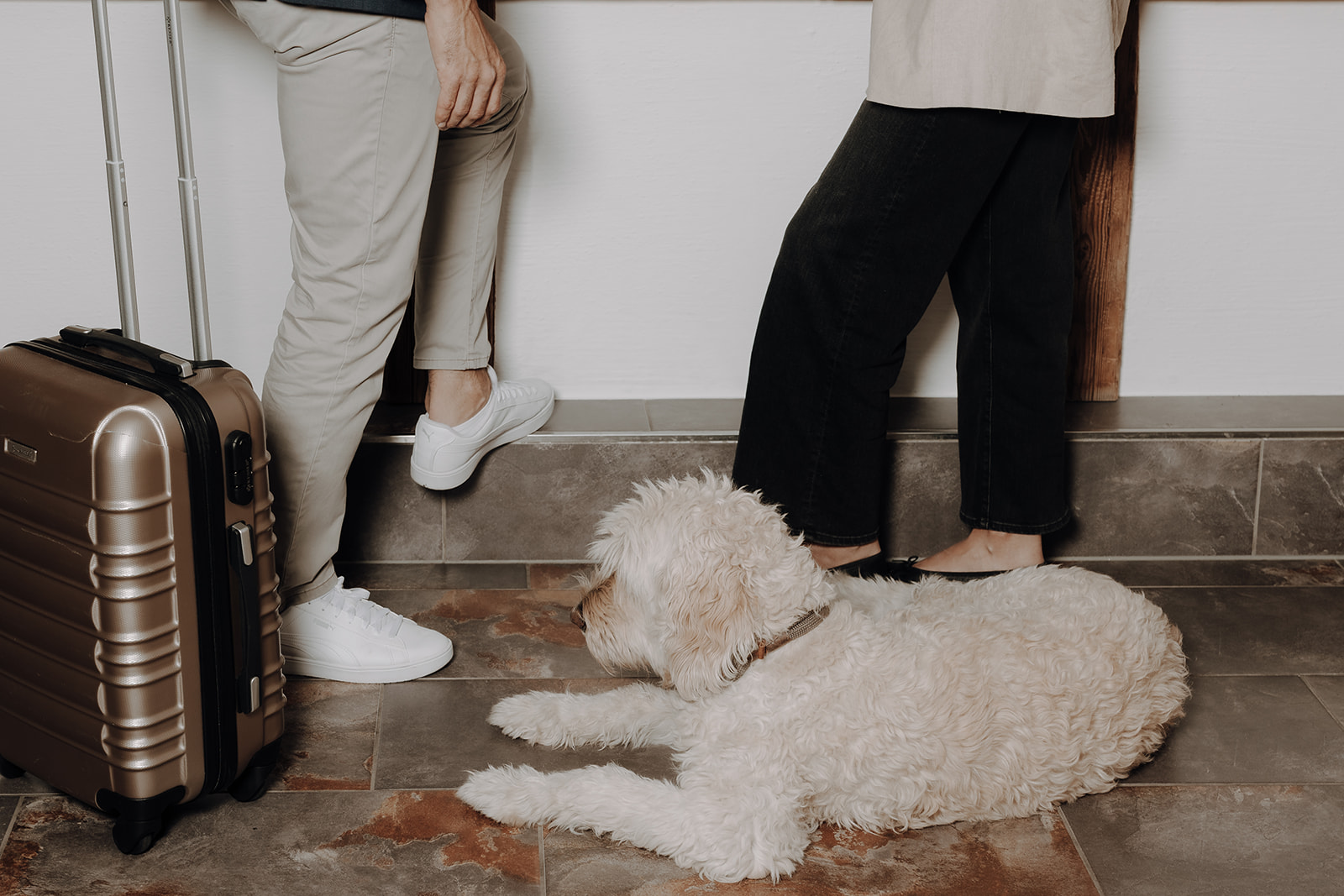 Hundehotel - Hund im Restaurant erlaubt - ALMGUT Mountain Wellness Hotel